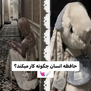 عکس حافظه انسان - 𝖧𝗎𝗆︎𝖺𝗇︎ 𝗆︎𝖾𝗆︎𝗈𝗋𝗒