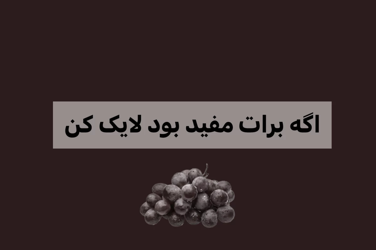 عکس حافظه انسان - 𝖧𝗎𝗆︎𝖺𝗇︎ 𝗆︎𝖾𝗆︎𝗈𝗋𝗒