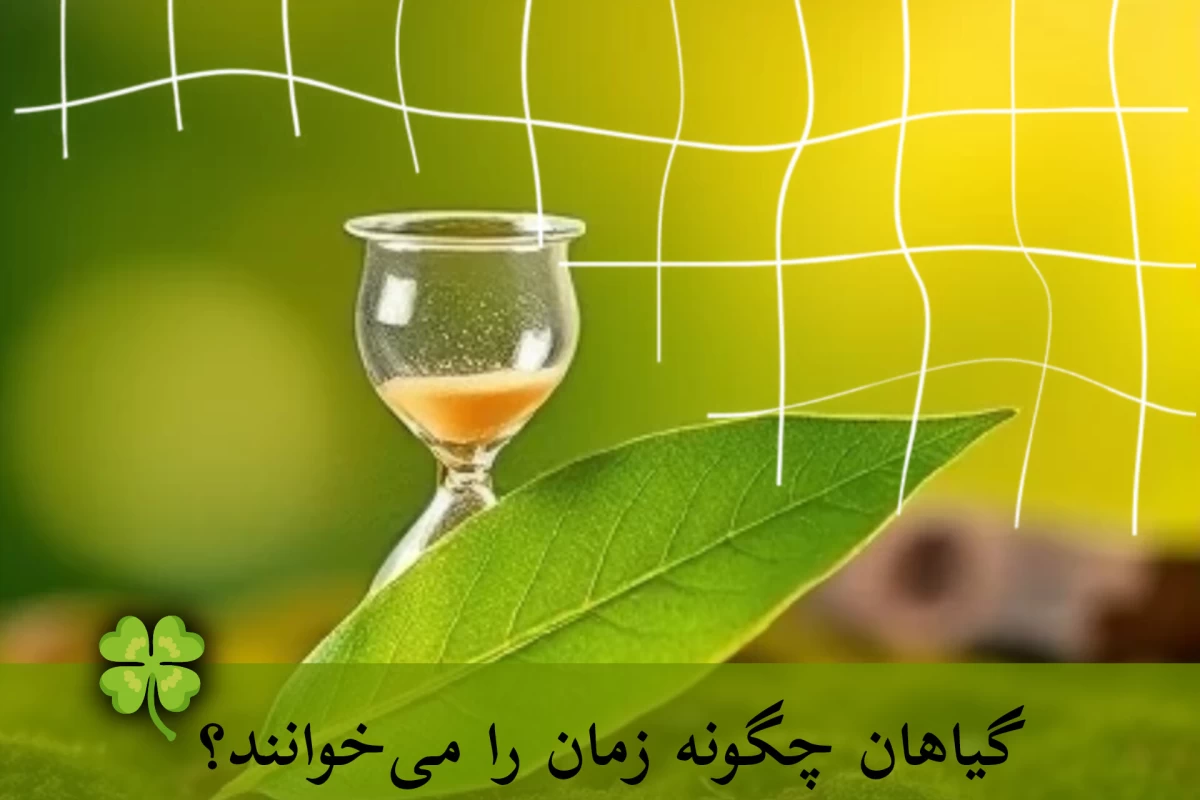 عکس گیاهان چگونه زمان را می‌خوانند؟ راز خواب و بیداری طبیعت!