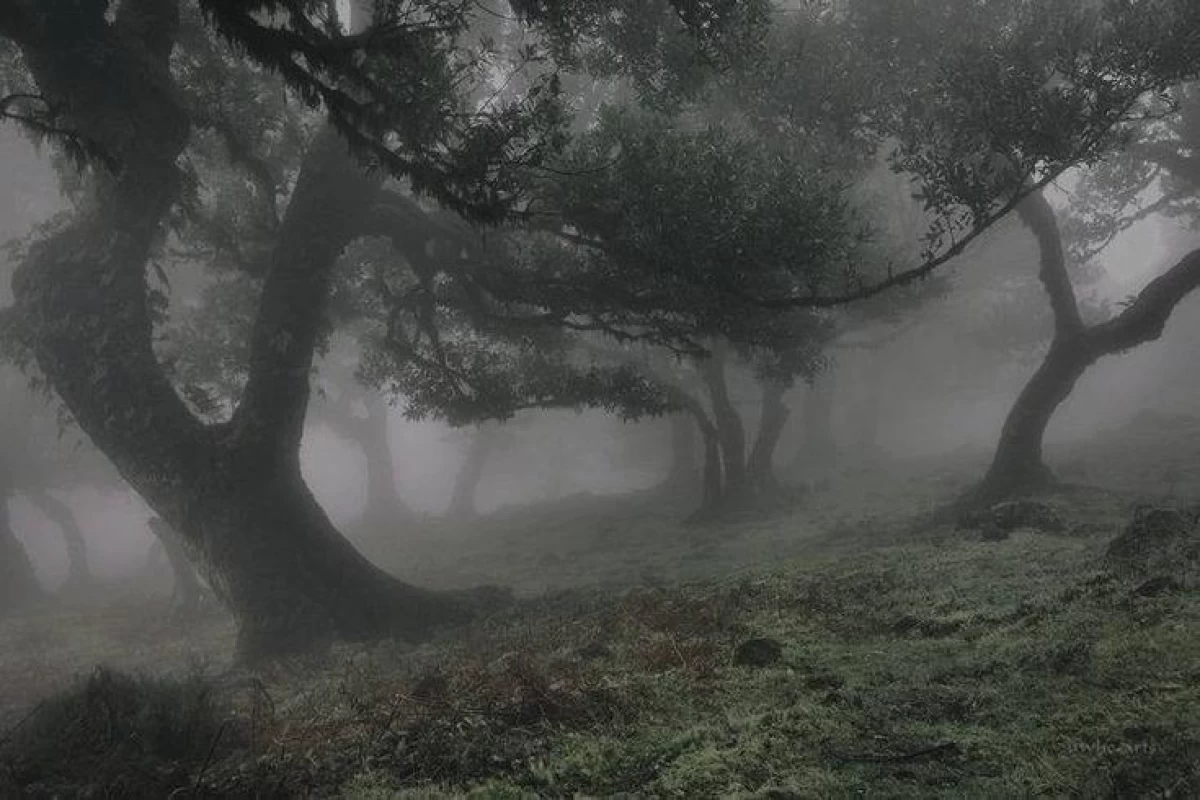 عکس تسلیم شدن؟