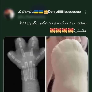 کاور