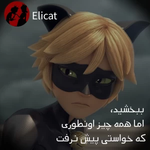 کاور
