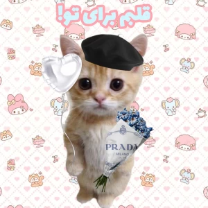 کاور