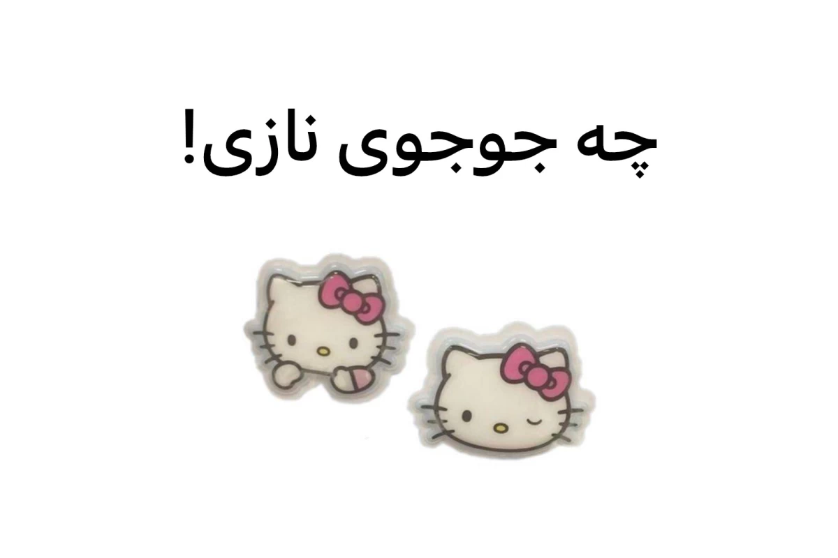 عکس من رو به اونی که..(فان!)