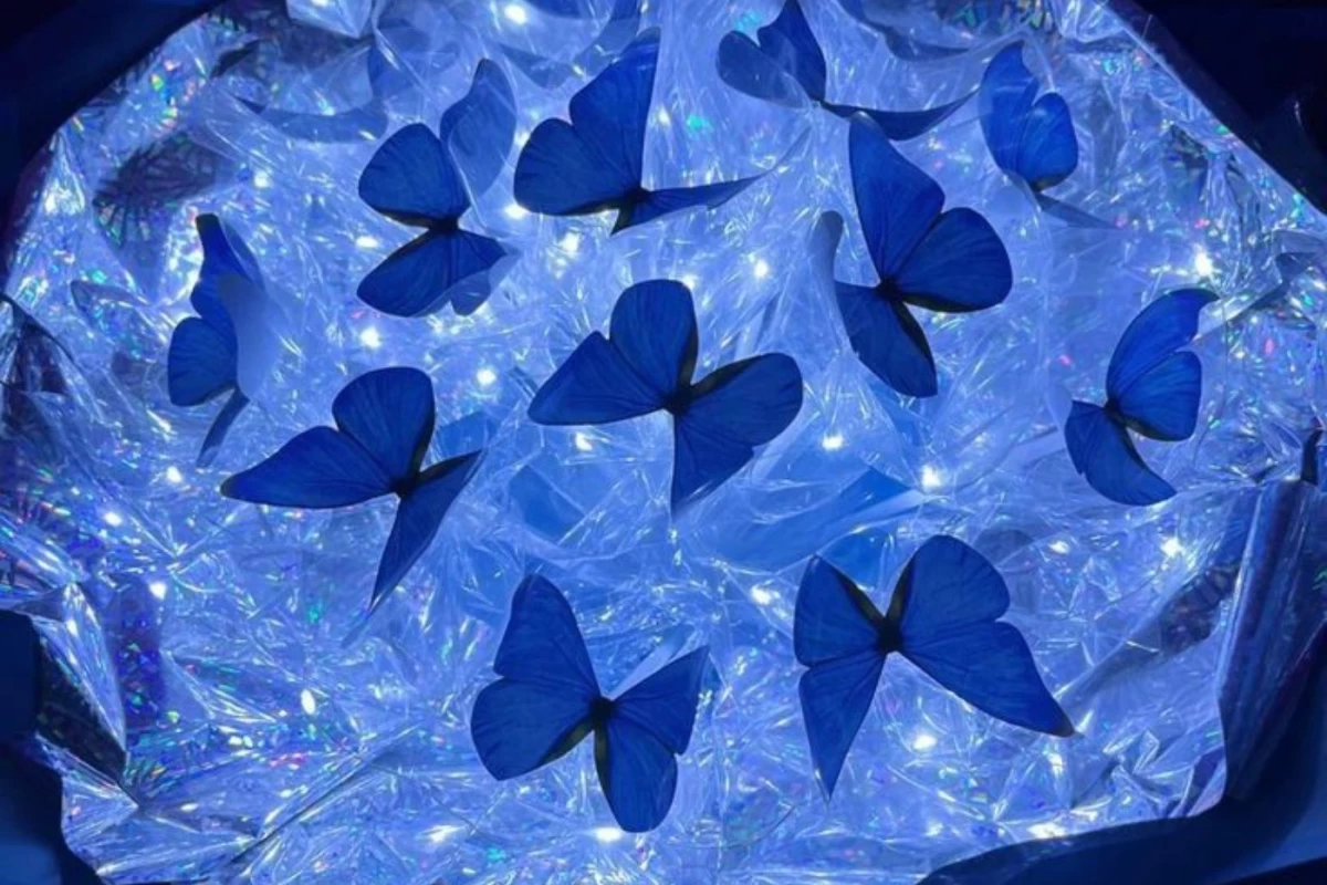 عکس ☆من کی هستم؟☆