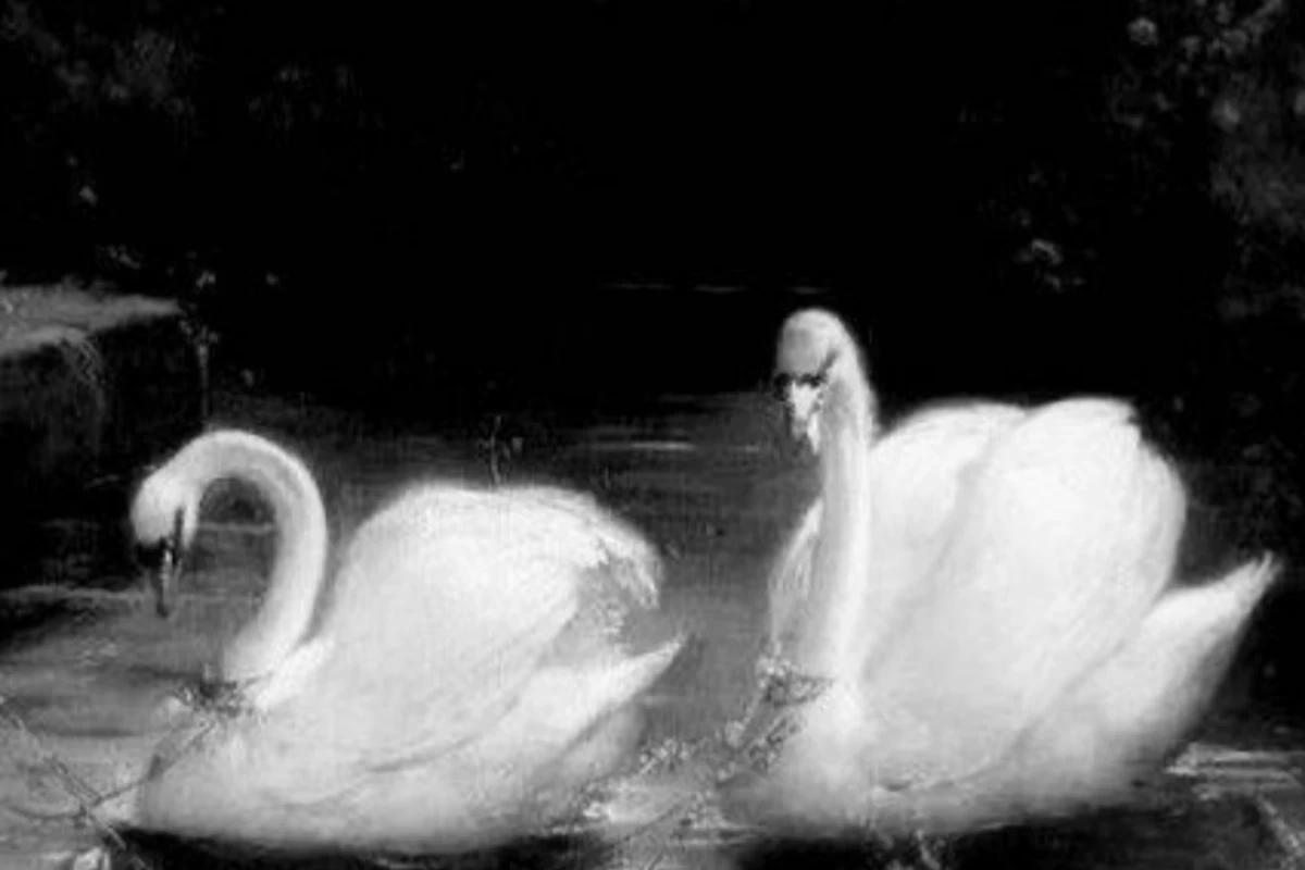 عکس بیوگرافی:)