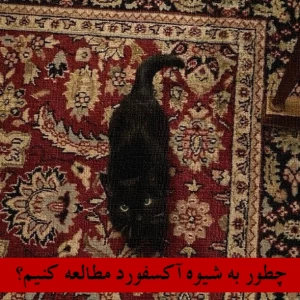 عکس 💞:درس خواندن به سبک آکسفورد