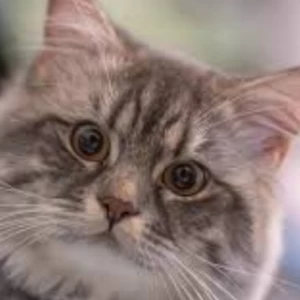 عکس درمورد من ....