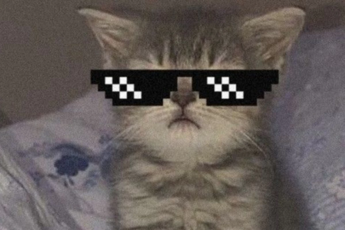 عکس درمورد من ....