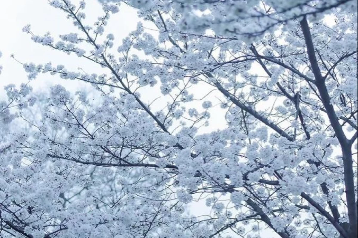 عکس ★کوچک ولی بزرگ★p3