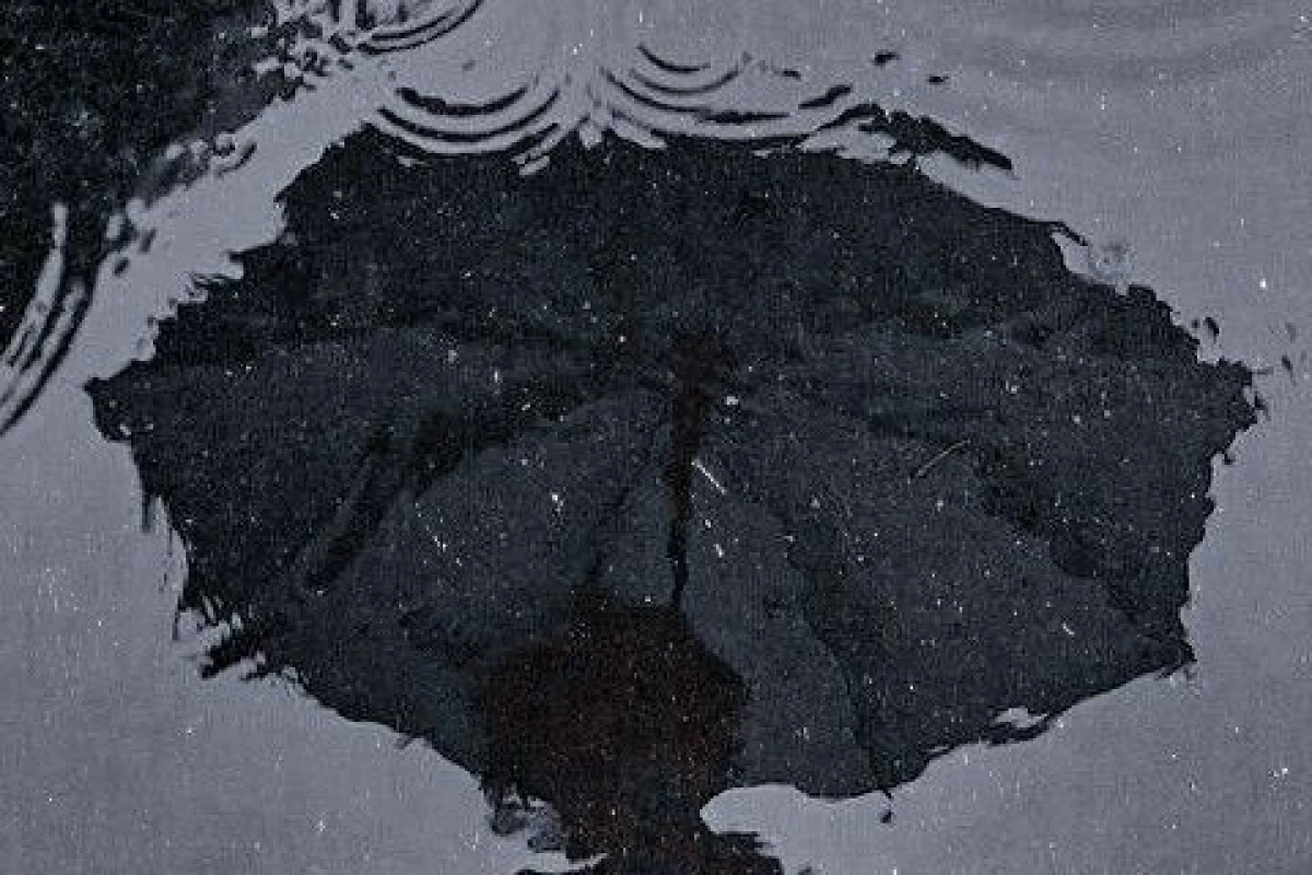 عکس چگونه...؟