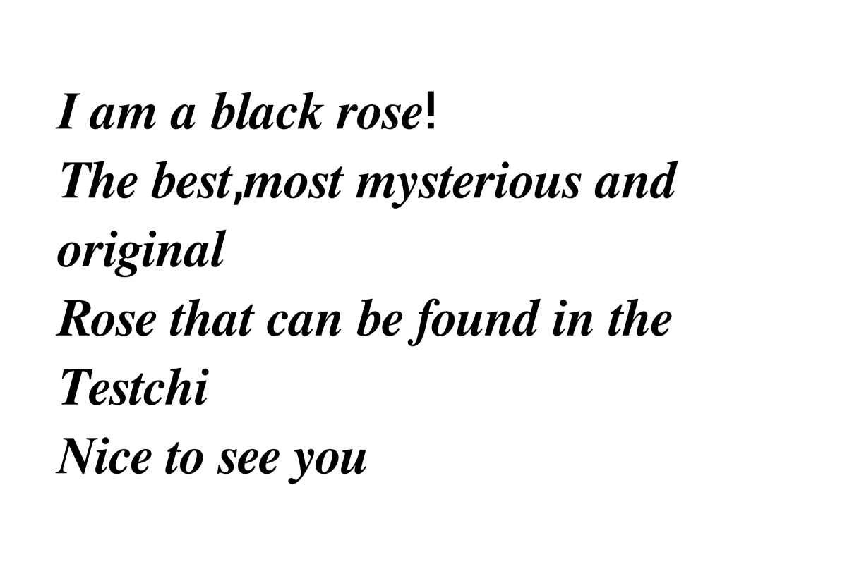 عکس مجسمهشیدایی.