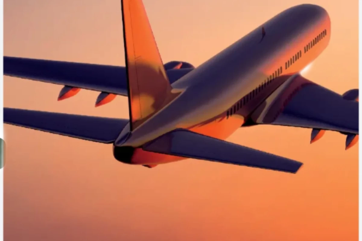 عکس یک پرواز دل انگیز با کاربرا به سرتاسر جهان p3