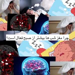 عکس چرا مغز ما شب ها بیشتر از صبح فعال است؟