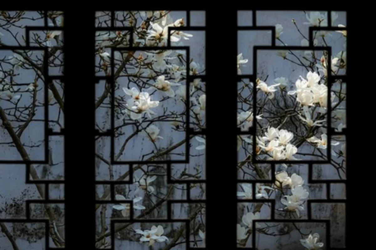 عکس هاوژیـنِ آشپزباشـی!