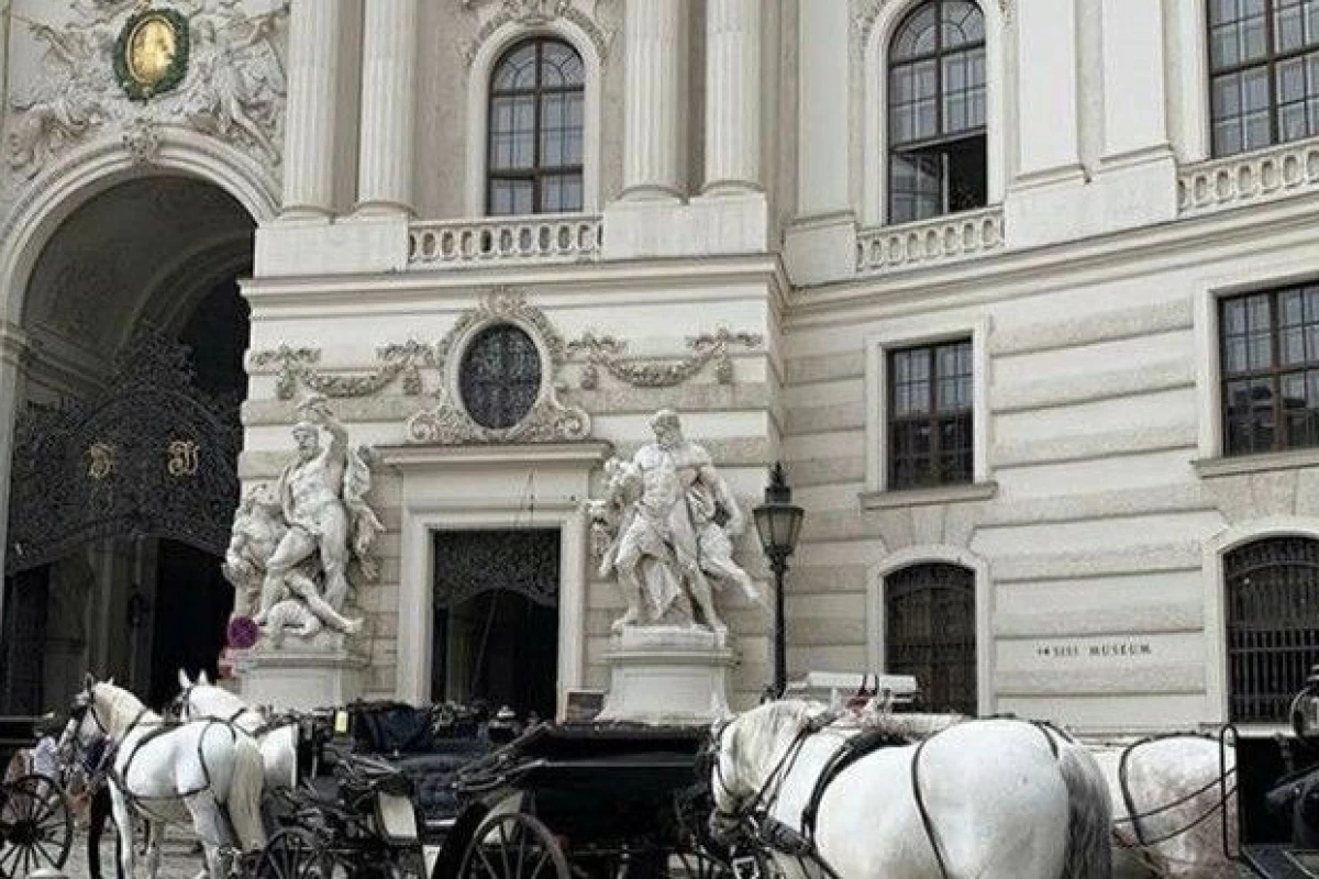 عکس 👒: زیبایی در سبک های متفاوت