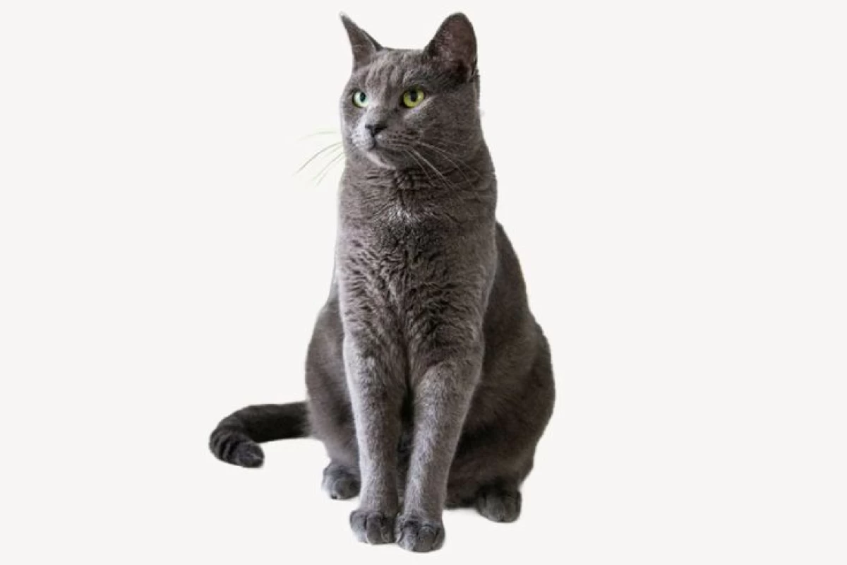 عکس دفتر خاطرات؟ (هری پاتر ver)