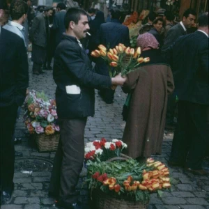 عکس آیا ویام؟