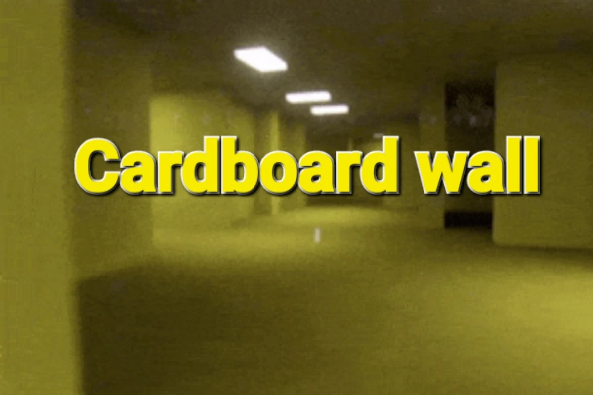 عکس دیوار مقوایی قسمت ششم