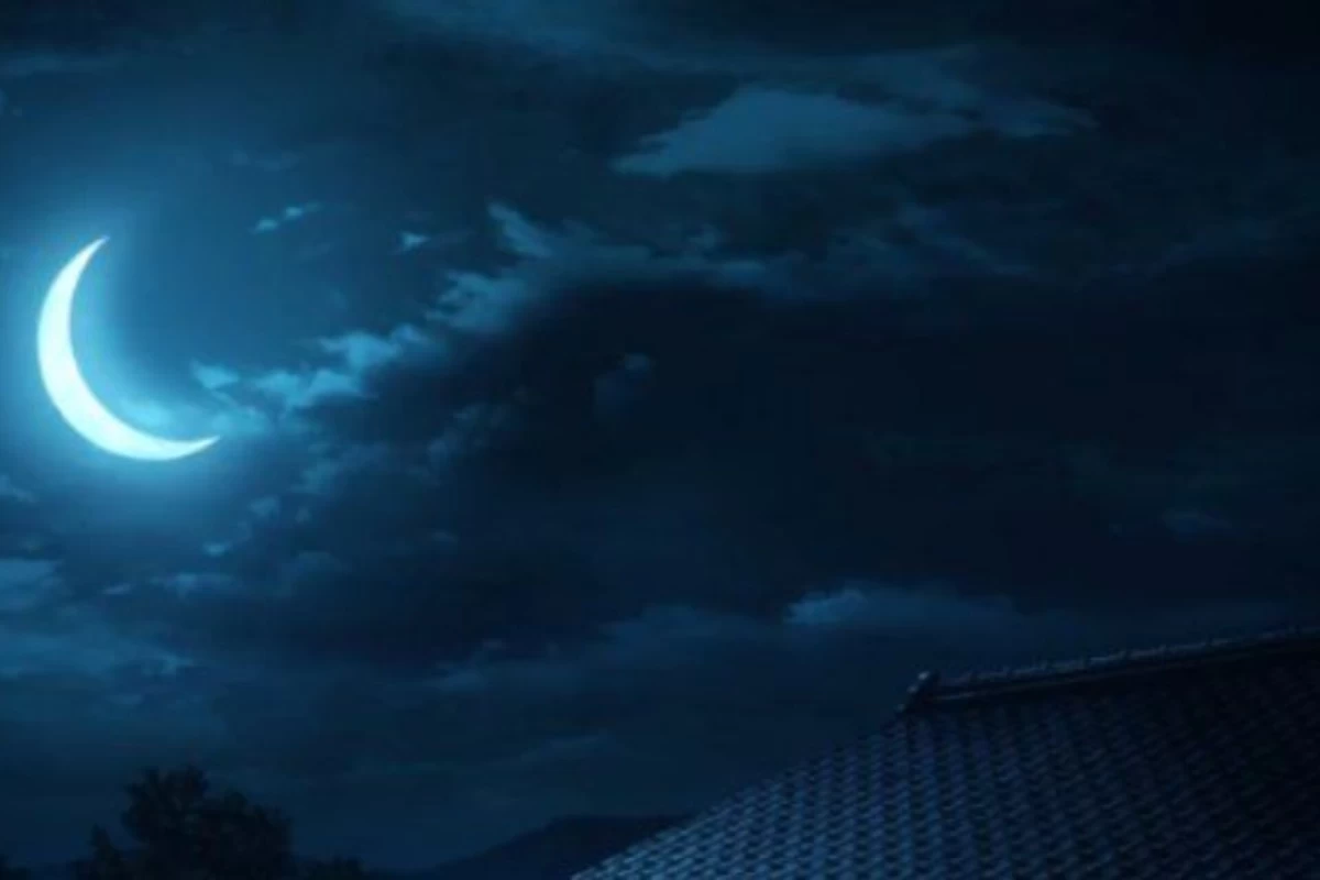 عکس تو فقط تاریکی رو پذیرفتی....