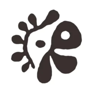 عکس بیوگرافی گروه کورتیس