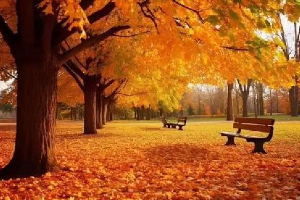 عکس بخاطر اون این اتفاق افتاد