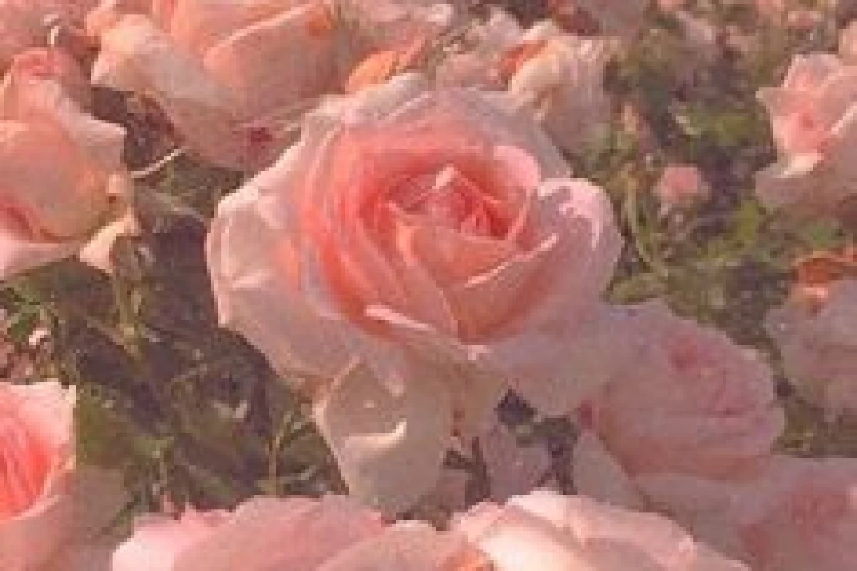 عکس اونجوری که فکر می کنی نیست!(Mbti ver)