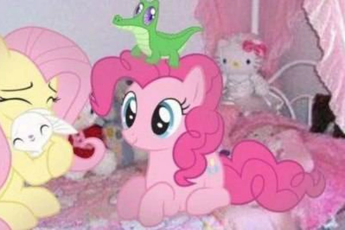 عکس فکت با حضور پونی !!