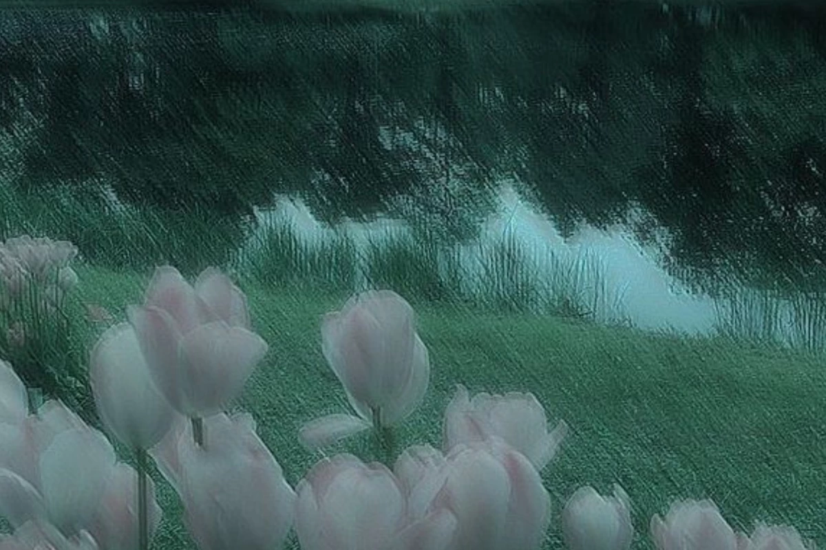 عکس اولین شعرم؛