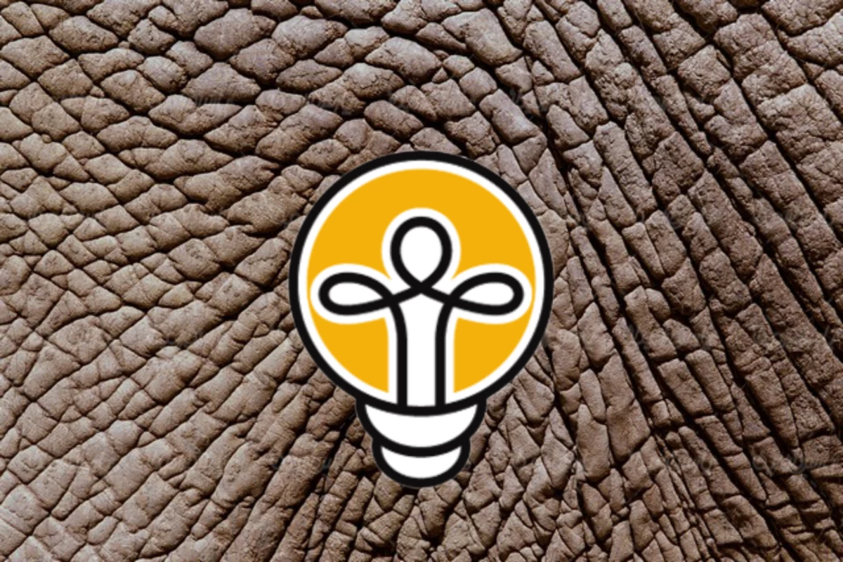 عکس چرا گروه‌های تازه‌وارد لایت‌استیک ندارن؟