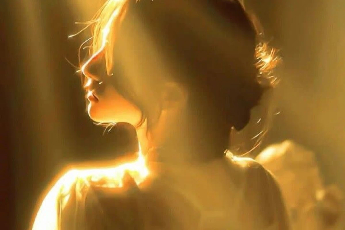 عکس فکت های جالبی درمورد ویلون