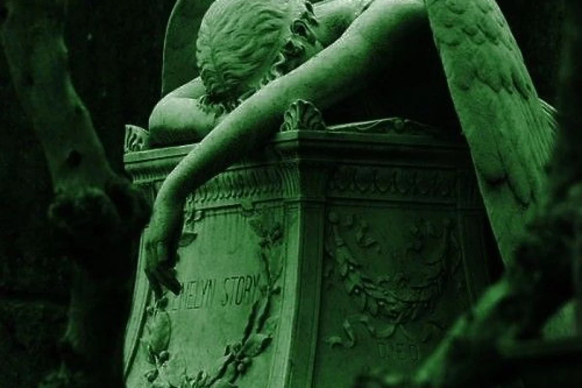 عکس 🐲:نه!تسلیم نشو