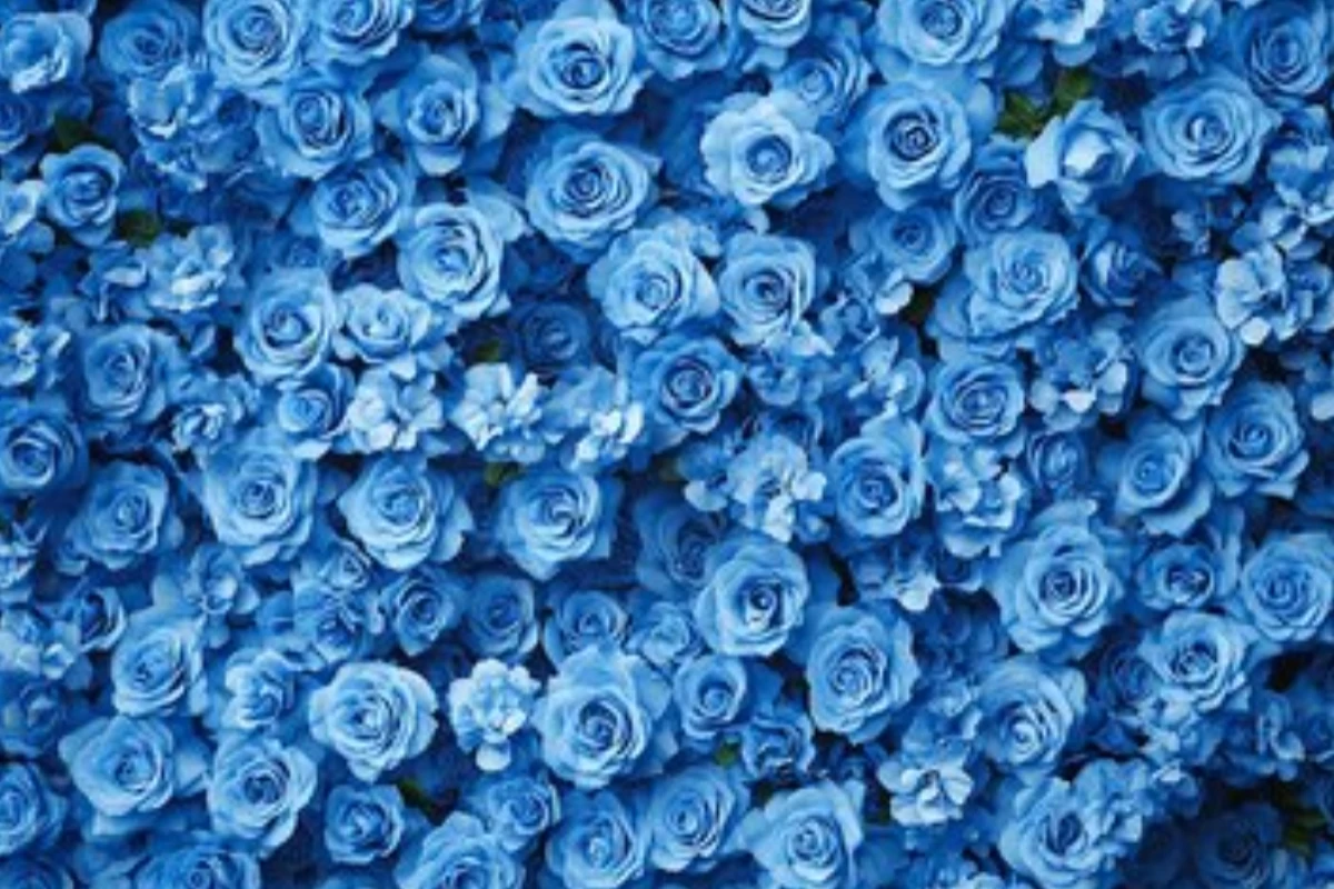 عکس نکات نگارشی ساده که شما رو باسوادتر نشون می‌دن