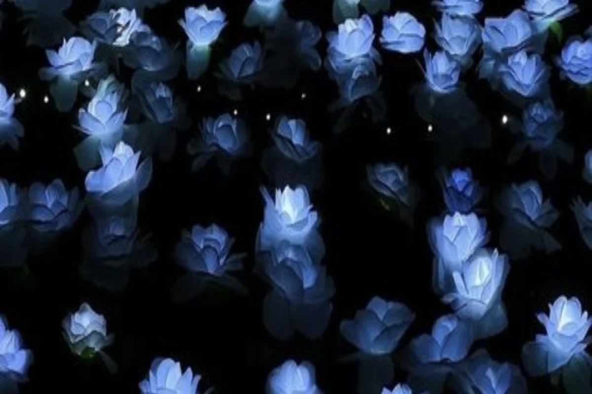 عکس چرا مغز ما بعضی خاطرات را عمدا پاک می‌کند؟