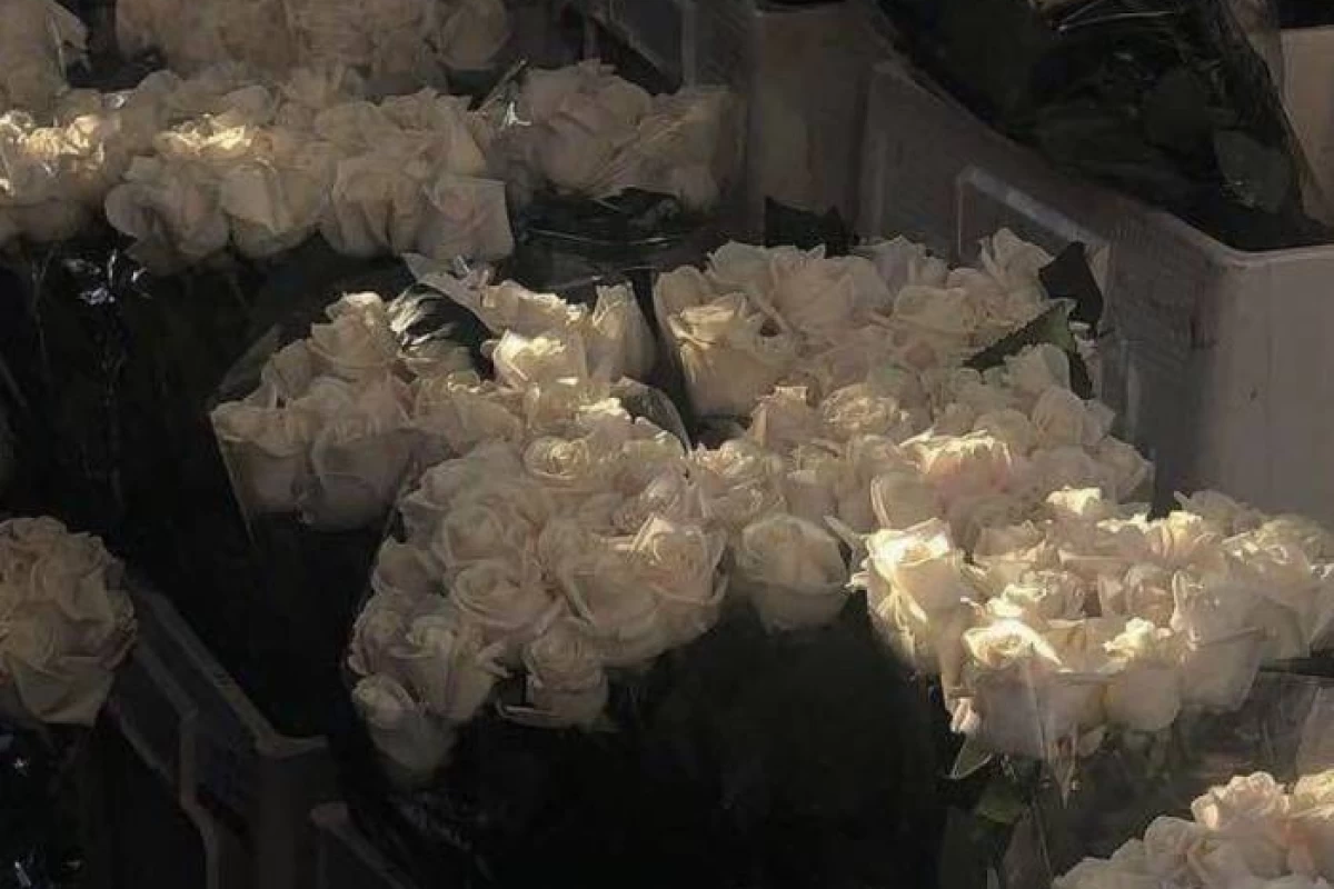 عکس ولی هم سن های تو...