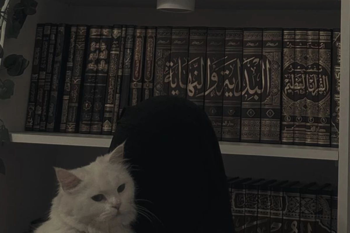 عکس مداحی های زیبا...