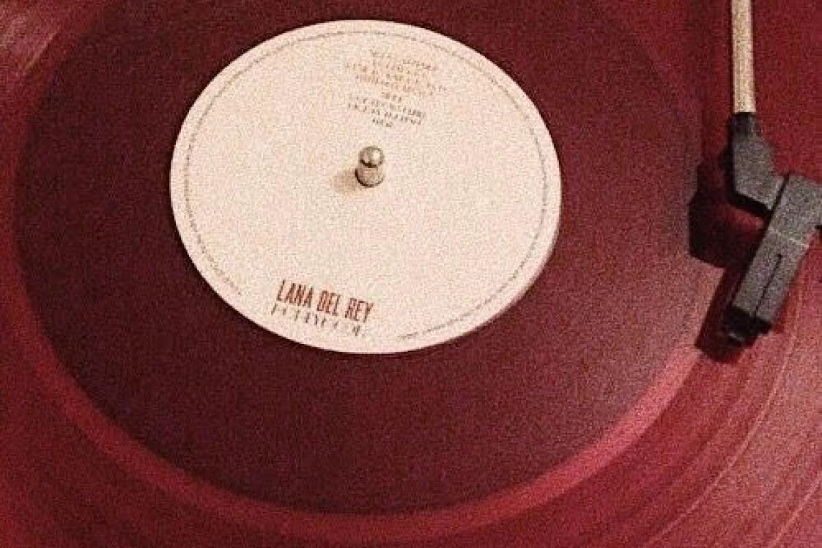 عکس یهودا ¦ יְהוּדָה