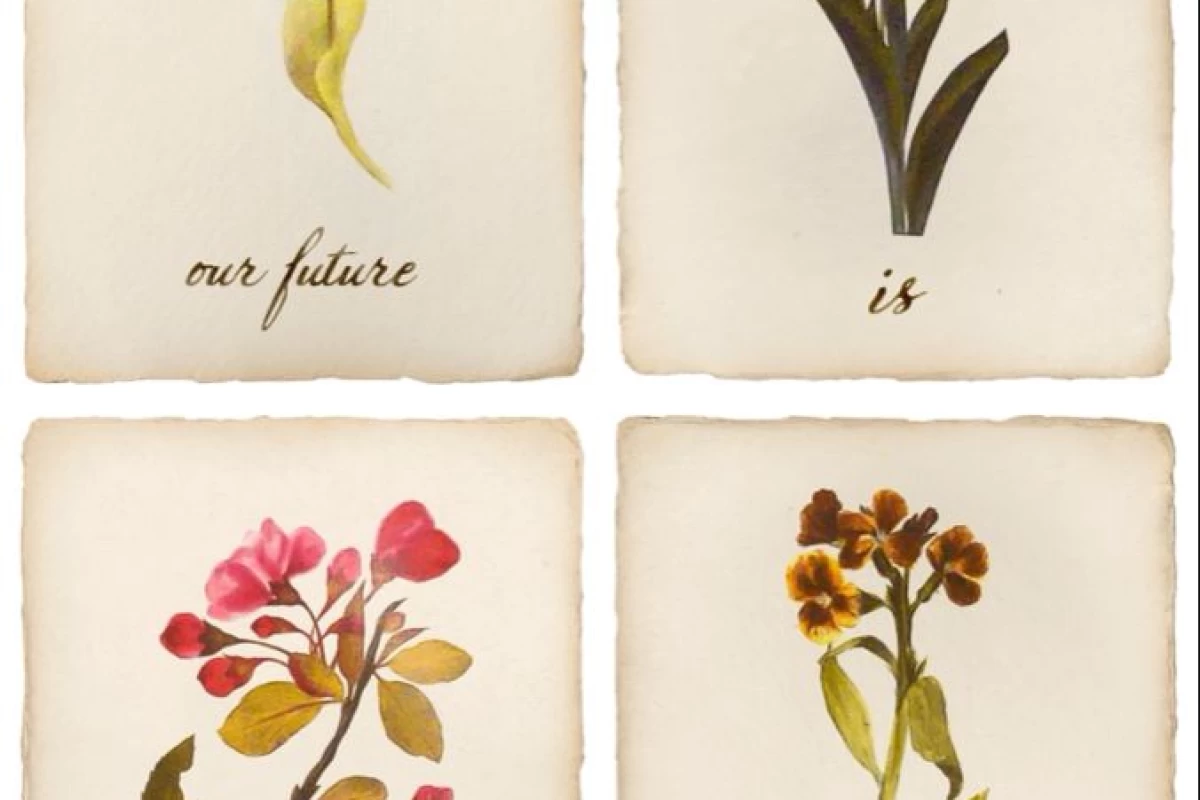 عکس کوییز سریال‌های نتفلیکس: آیا می‌توانید با یک عکس حدس بزنید؟