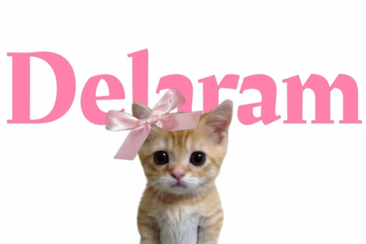 عکس 💥:گمشو اگه میخوای...