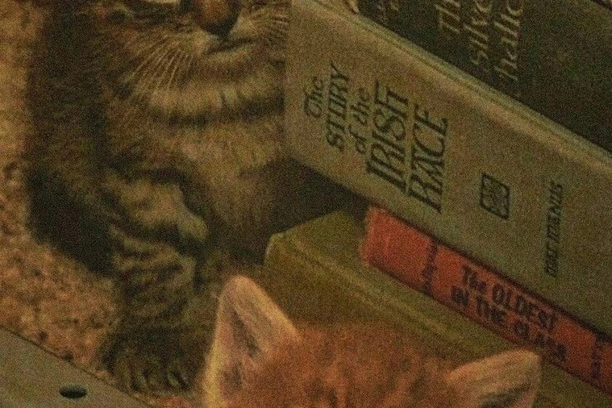 عکس چطور داستان بنویسیم ؟