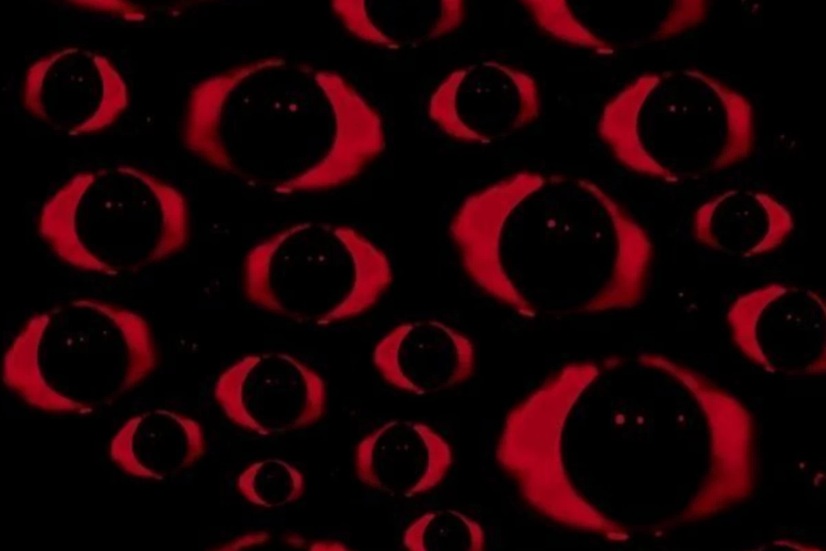 عکس آخرین لحظه؟