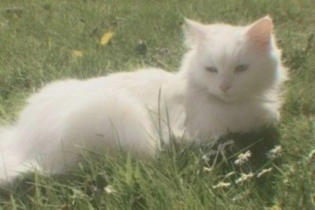 عکس من وقتی که اون ...