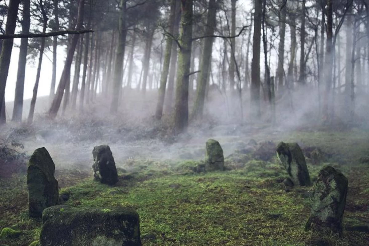 عکس پدیده های طبیعی،عجیب و زیبا