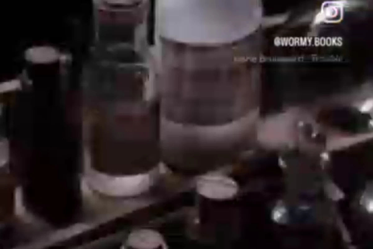 عکس جهان لی باردوگو : به کتردام خوش آمدید!