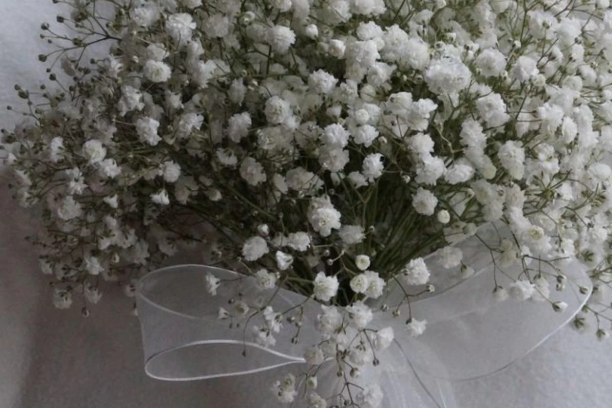 عکس انیمیشن ها و انیمه های جذاب