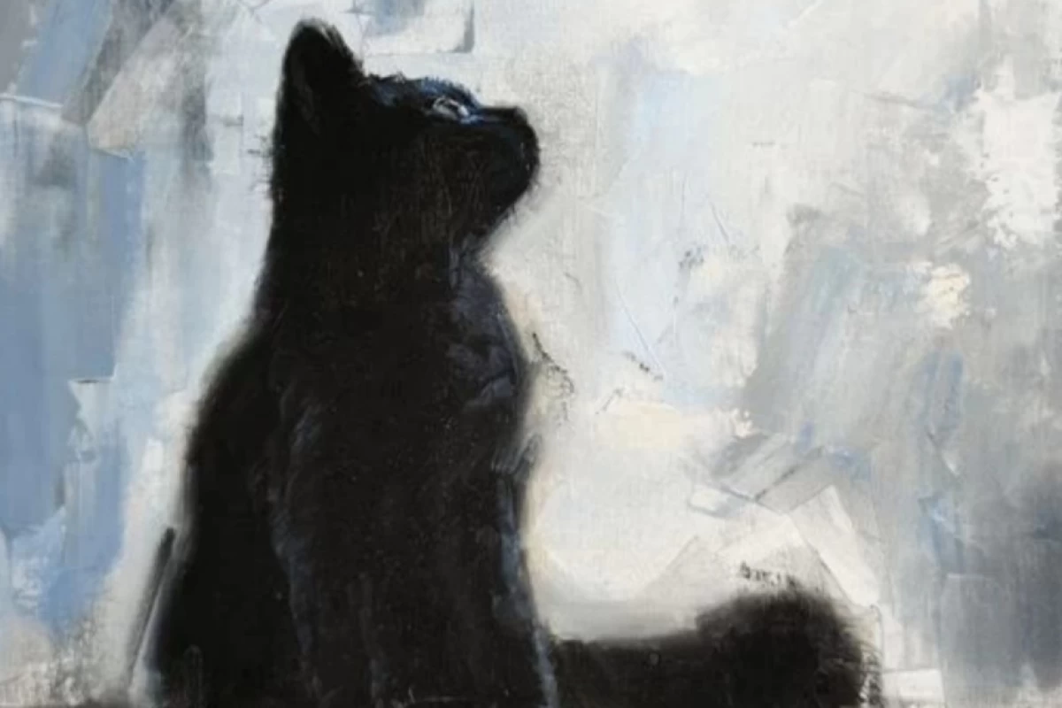 عکس میم تراپی