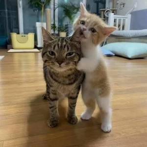 عکس چرا به تستچی اومدم☄(لطفا راهنمایی کنین)