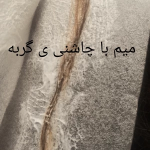 کاور