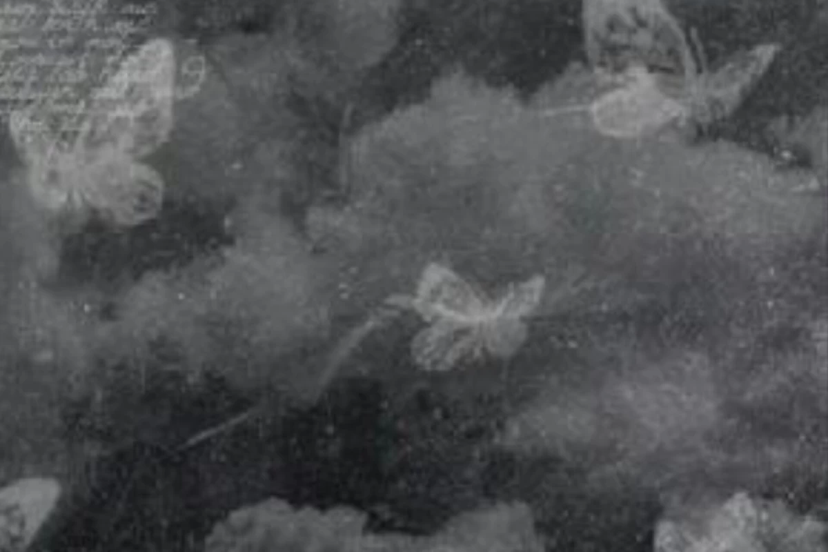 عکس •چیزی زدی داداش؟ •