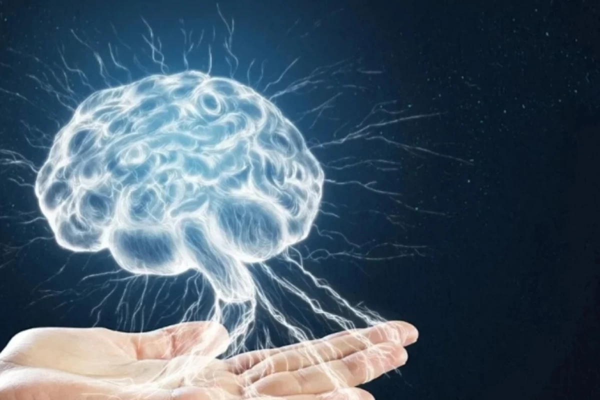 عکس آیا مغز اتفاقات آینده را پیش بینی می کند؟نظر علم چیست؟